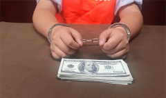 个人集资诈骗数额较大判多少年？