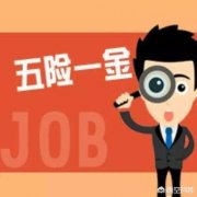 公司已经买了五险一金，在农村还要不要再交220元的医疗保险？