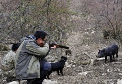<b>为吃野鸭毒死260只珍稀鸟类 涉嫌非法狩猎罪如何处罚?</b>