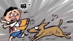 <b>大爷被狗撞骨折 宠物狗伤人赔偿范围有哪些？</b>
