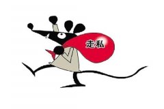 <b>8000万走私案告破 团伙走私珍贵动物制品怎么量刑？</b>